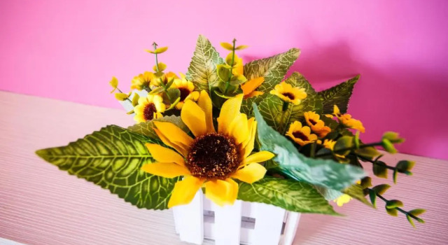Четырёхместный номер Standard Zill Homestay