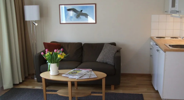 Двухместный номер Standard Hotel Tornet
