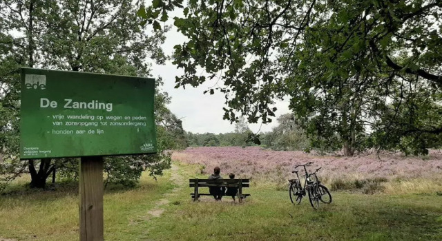 Коттедж Comfortabel tot rust komen in het Veluwse bos