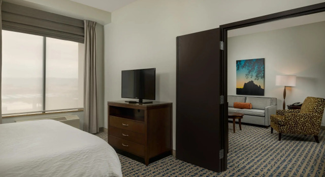 Двухместный люкс c 1 комнатой Hilton Garden Inn Phoenix Airport North