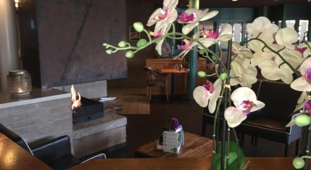 Appartement Ut & Thus, Resort Amelander Kaap, Buchen Sie Resort Hotels in Westfriesische Inseln mit Pool, Schwimmbad