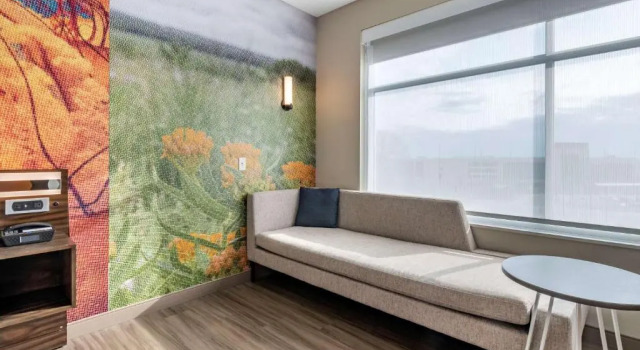 Номер Standard Cambria Hotel Bloomington Mall of America Minneapolis Airport