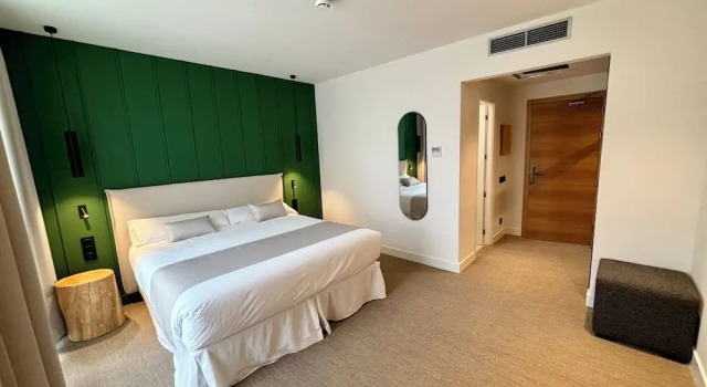 Двухместный номер Deluxe Hotel Mondragón