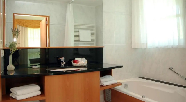 Номер Superior Hotel Iris