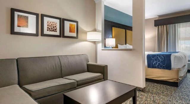 Люкс Comfort Suites Fort Lauderdale Airport South & Cruise Port