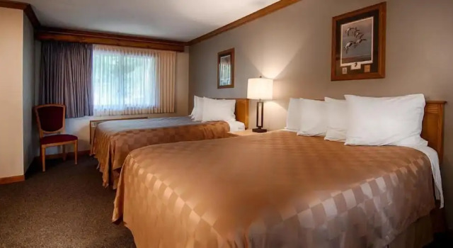 Четырёхместный номер Standard Centerstone Resort Lake-Aire