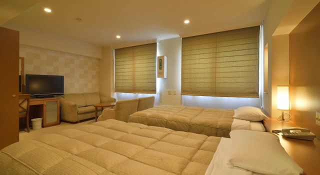 Двухместный номер Standard Hotel Palace Nagoya