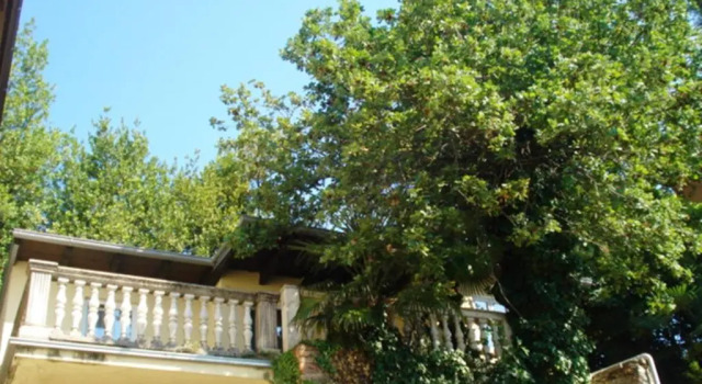 Апартаменты с 2 комнатами с видом на море Apartments Villa Atta
