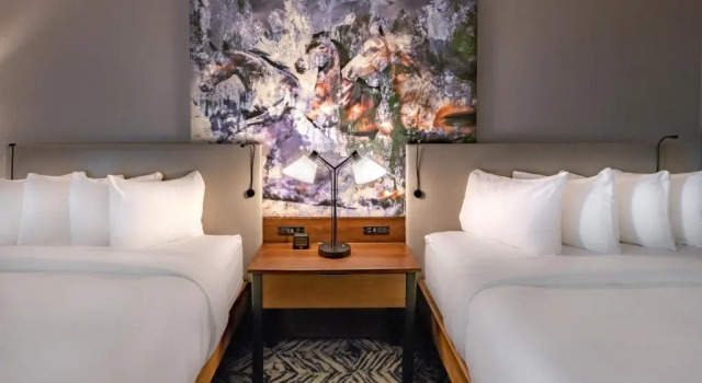 Четырёхместный номер Standard с балконом и с видом на озеро DoubleTree by Hilton Dallas-Farmers Branch