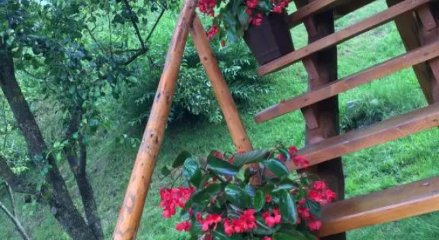 Căsuța din cireș, Rezerwuj Apartament Hotele w Carpathians - Romania z parkingiem, Parking