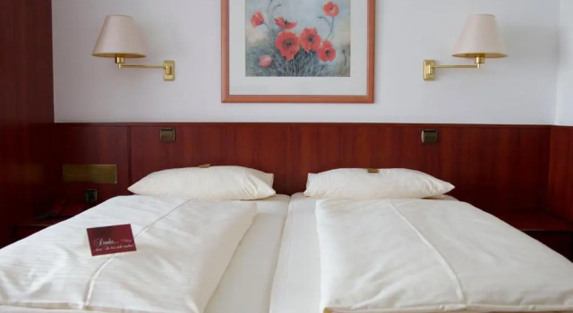 Двухместный номер Standard Hotel Seeblick garni