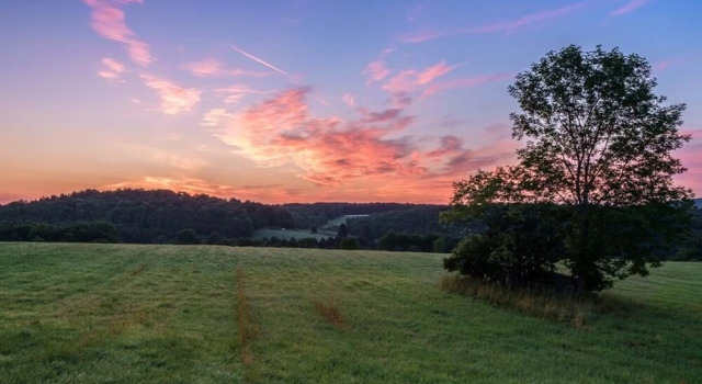 Tentrr - Orchardside Farm, Prenota Agriturismo Cooperstown Stato di New York