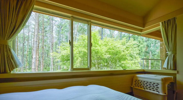 Yutorelo Tateshina Hotel with DOGS, Забронировать Отель Тино Татесина
