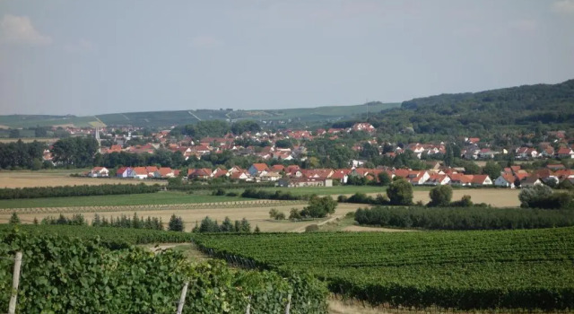 Апартаменты Antjes Ferienwohnung Flonheim