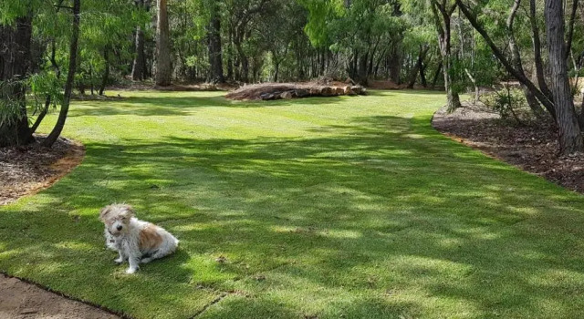 Коттедж Yallingup pet friendly Bush retreat