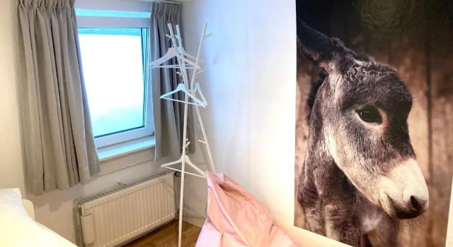 Коттедж LA PETITE MAISON Fachwerkhaus am Rande des Sauerlandes in Warburg