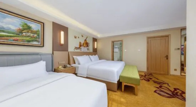 Люкс Deluxe Vienna International Hotel Dalian municipal government