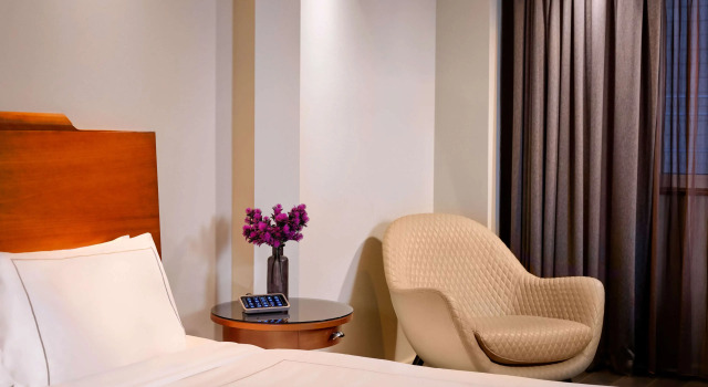 Двухместный номер Superior Park Plaza Victoria London