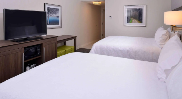 Четырёхместный номер Standard Hampton Inn & Suites Albany-East Greenbush, NY