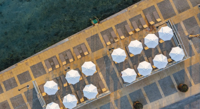Rasim Palas (Adults Only +12)