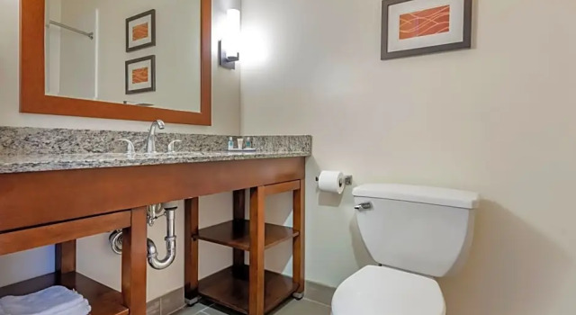 Люкс Comfort Inn Apalachin - Binghamton W Route 17