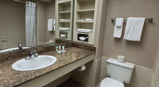 Четырёхместный номер Standard Tahitian Inn Boutique Hotel Tampa