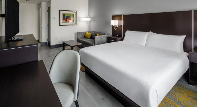 Standard- dobbelt værelse DoubleTree by Hilton Sarasota Bradenton Airport