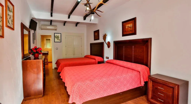 Номер Standard Hotel Rural Noguera de la Sierpe