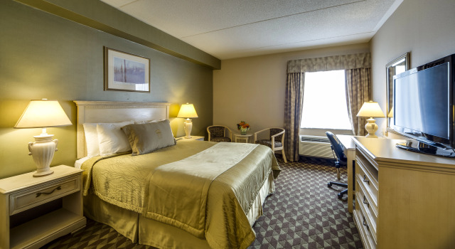 Monte Carlo Inn Toronto - Markham