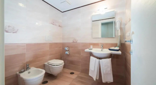 Двухместный номер Deluxe с видом на море Hotel Sole