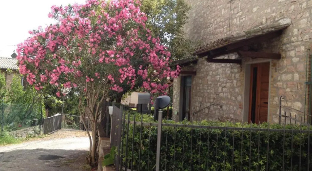 Apartment Casa Elena