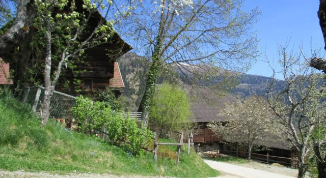 Апартаменты Ferienwohnungen am Berghof