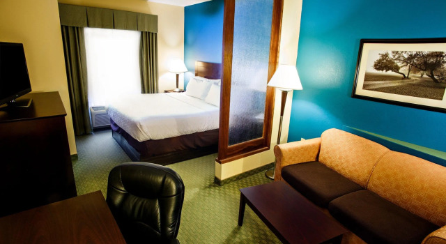 Номер Standard Holiday Inn Express & Suites Harrisburg West