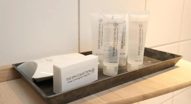 Номер Business Hotel Viking Aqua Spa & Wellness