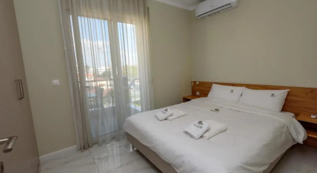 Olive 301