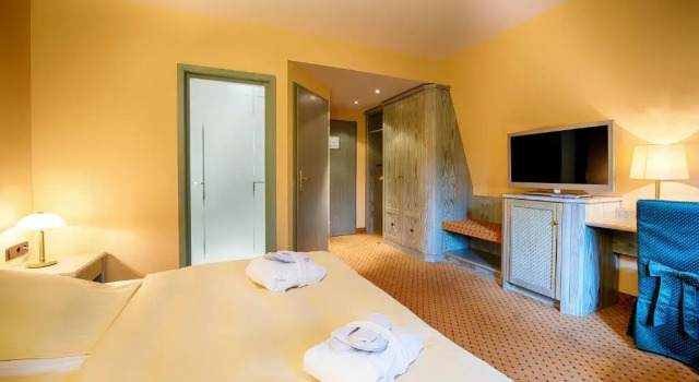 Двухместный номер Economy Hotel Villa Heine Wellness & Spa