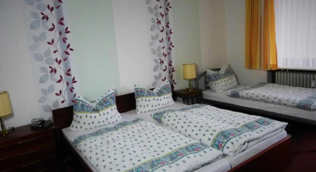 Трёхместный номер Standard Hotel Am Kurpark