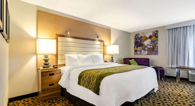 Двухместный номер Standard Comfort Inn Raleigh Midtown