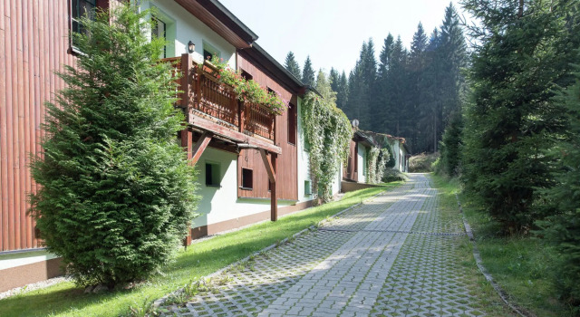 Apartment in Muldenhammer Near Ski Lift, Prenota Appartamento Muldenhammer Sassonia