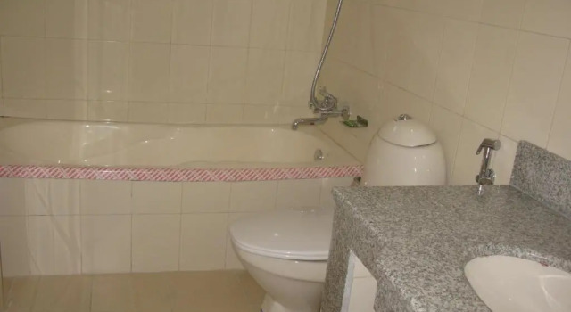 Трёхместный номер Deluxe Hotel Asia