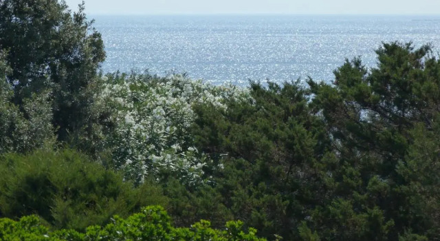 Коттедж Casa Vacanza La Ginestra