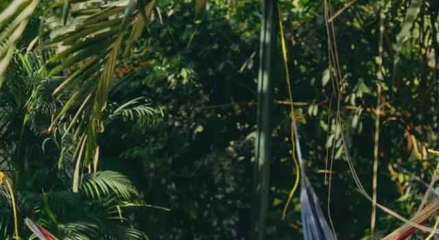 Номер Standard Chilamate Rainforest Beach Retreat
