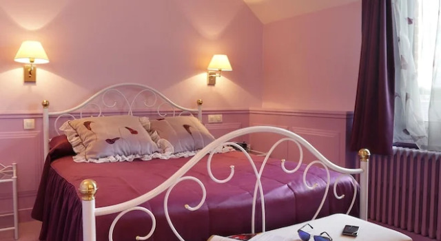 Номер Standard Contact Hôtel de France Contres-Beauval-Cheverny
