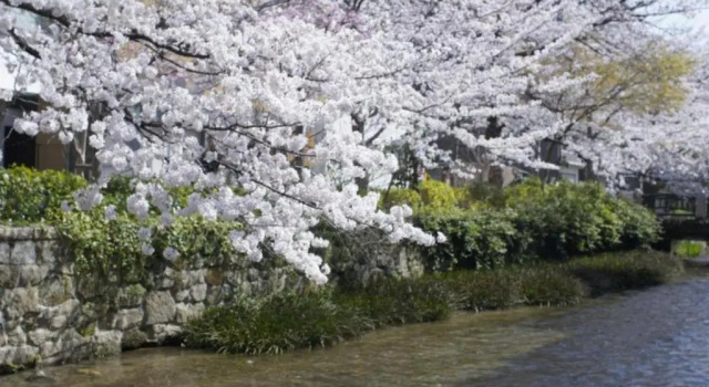 Jeugiya - Vacation STAY 87441v, Забронировать Отель Ине Киото, рядом с Kyoto City KYOCERA Museum of Art