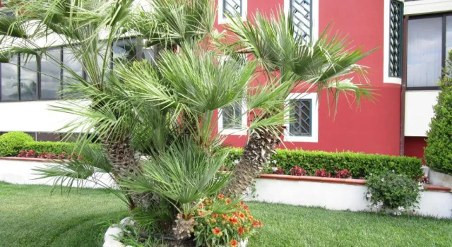 Hotel Nelton, Réserver Hôtel Scafati Campanie
