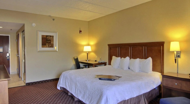 Двухместная студия Hampton Inn Medina