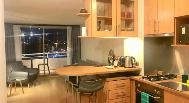 Апартаменты Standard Providencia Plaza