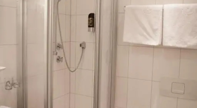 Номер Standard Hotel Vier Jahreszeiten