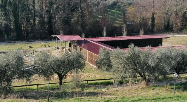Le Vecchie Scuderie, Rezervovat Hotel Hotely v Lazio s parkováním, Parkování