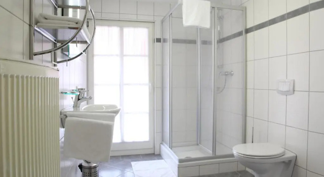Номер Standard Hotel Garni Goldene Traube
